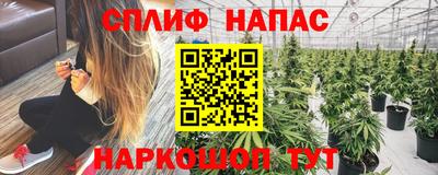 Альфа ПВП Жуковский