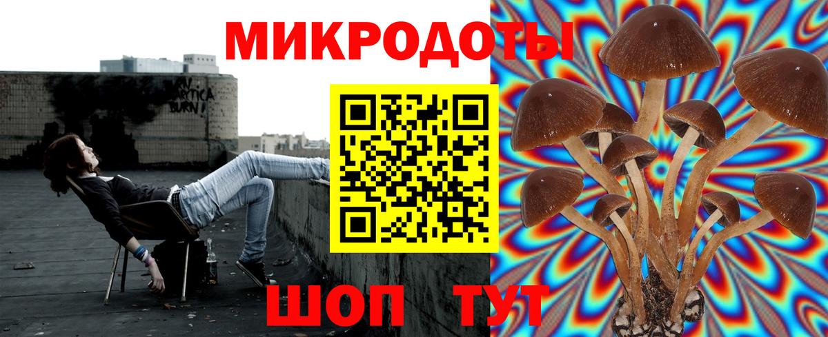 Галлюциногенные грибы мицелий Менделеевск
