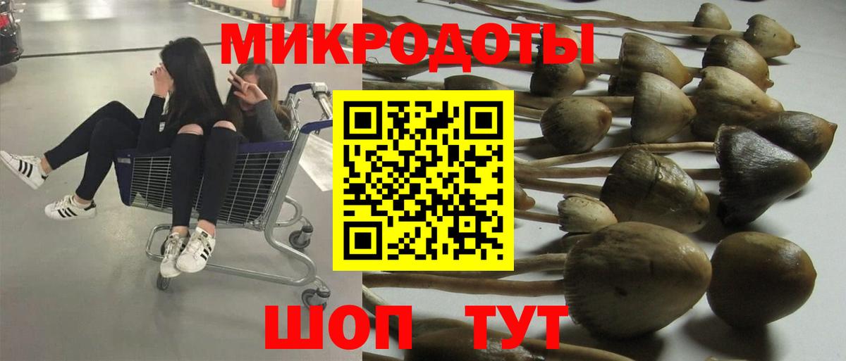 Менделеевск  Галлюциногенные грибы Psilocybe  Вход с VPN  Псилоцибиновые грибы прущие грибы 